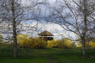 Kis-Balaton-stock-foto