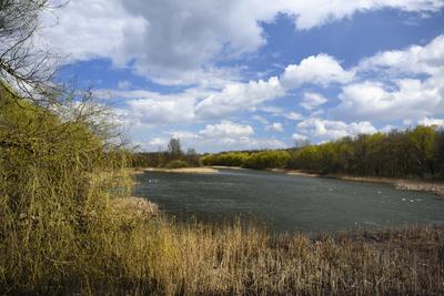 Kis-Balaton-stock-foto