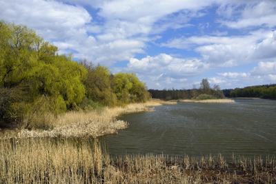 Kis-Balaton-stock-foto