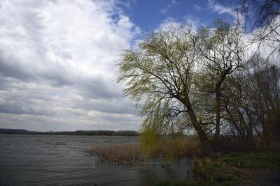 Kis-Balaton-stock-foto