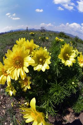 Kővágóőrs-stock-foto