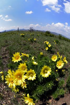 Kővágóőrs-stock-foto