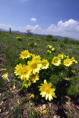 Kővágóőrs-stock-foto