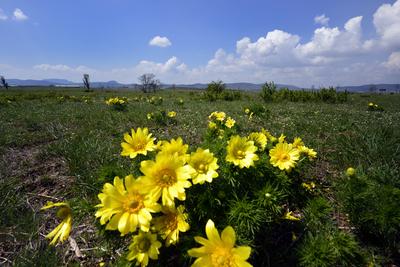 Kővágóőrs-stock-foto