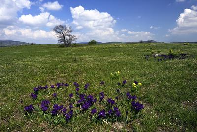 Kővágóőrs-stock-foto