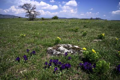 Kővágóőrs-stock-foto