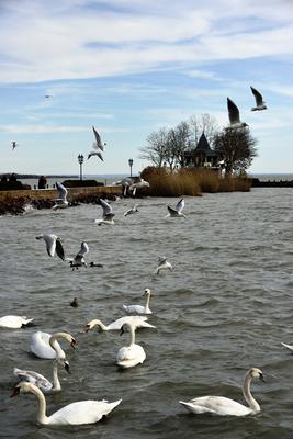 Keszthely-stock-foto