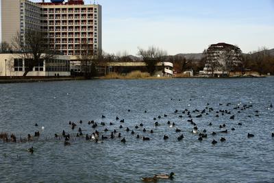 Keszthely-stock-foto