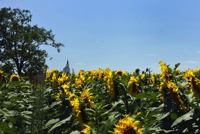 Kunhegyes-stock-foto
