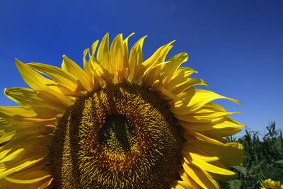 Kunhegyes-stock-foto