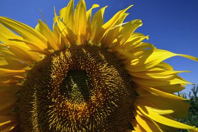 Kunhegyes-stock-foto