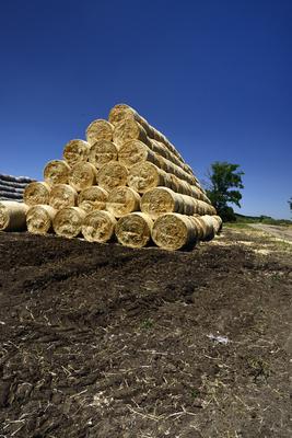 Kunhegyes-stock-foto