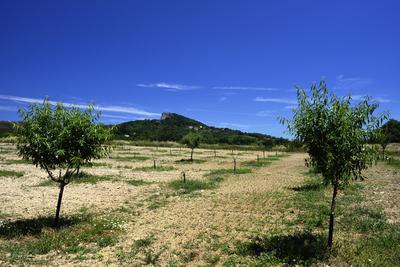 Köveskál-stock-foto