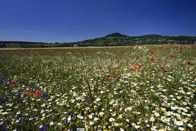 Köveskál-stock-foto