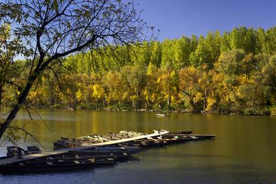 Mártély-stock-foto