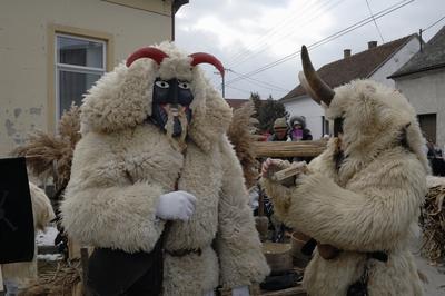 Mohácsi busójárás-stock-foto