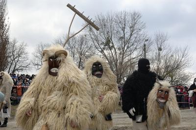 Mohácsi busójárás-stock-foto