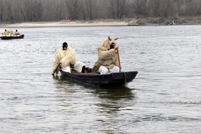 Mohácsi busójárás-stock-foto