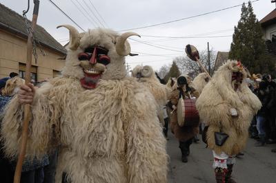 Mohácsi busójárás-stock-foto