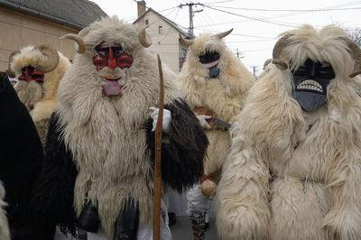 Mohácsi busójárás-stock-foto