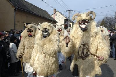 Mohácsi busójárás-stock-foto