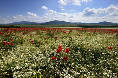 Nógrádi táj-stock-foto