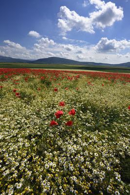 Nógrádi táj-stock-foto