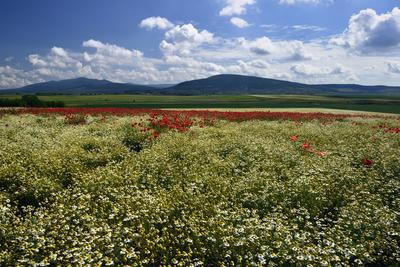 Nógrádi táj-stock-foto
