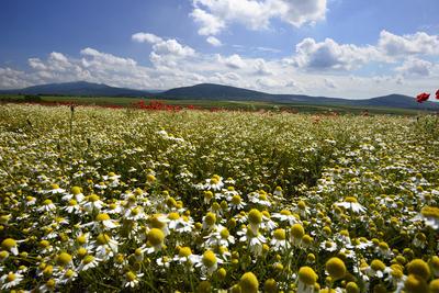 Nógrádi táj-stock-foto