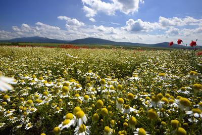 Nógrádi táj-stock-foto
