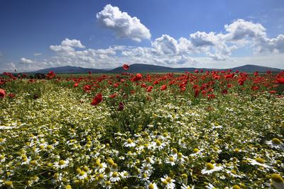 Nógrádi táj-stock-foto