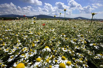 Nógrádi táj-stock-foto
