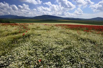 Nógrádi táj-stock-foto
