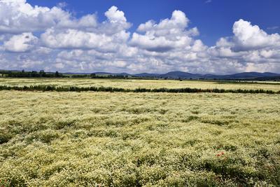 Nógrádi táj-stock-foto