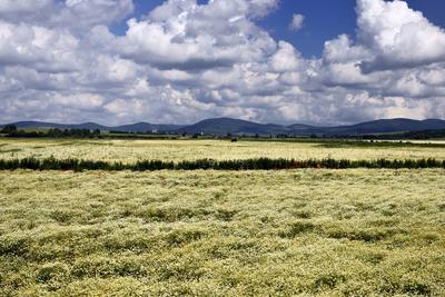 Nógrádi táj-stock-foto