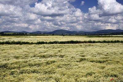 Nógrádi táj-stock-foto