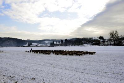 Nógrádi táj-stock-foto