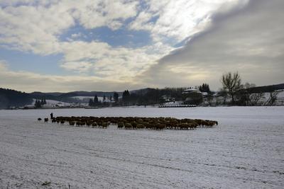 Nógrádi táj-stock-foto