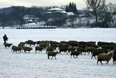 Nógrádi táj-stock-foto
