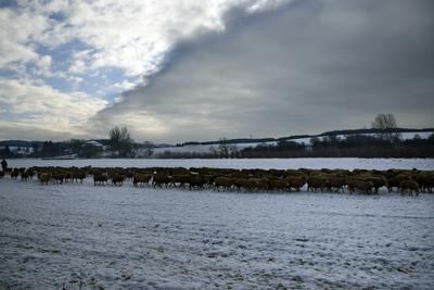 Nógrádi táj-stock-foto