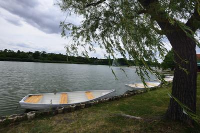 Gyopárosfürdő-stock-foto