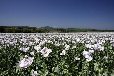 Nógrádi táj-stock-foto