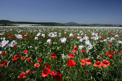 Nógrádi táj-stock-foto