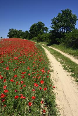 Nógrádi táj-stock-foto
