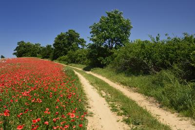 Nógrádi táj-stock-foto