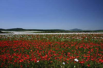 Nógrádi táj-stock-foto