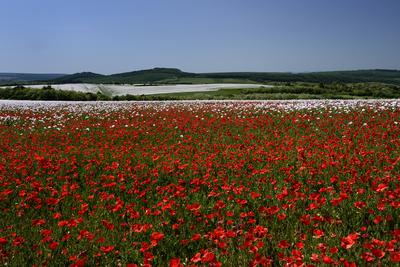 Nógrádi táj-stock-foto