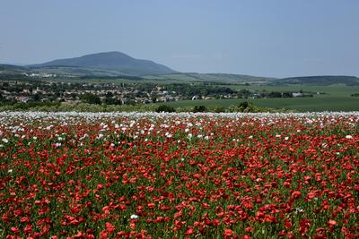 Nógrádi táj-stock-foto