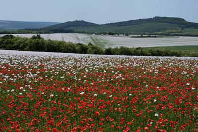 Nógrádi táj-stock-foto