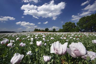 Nógrádi táj-stock-foto